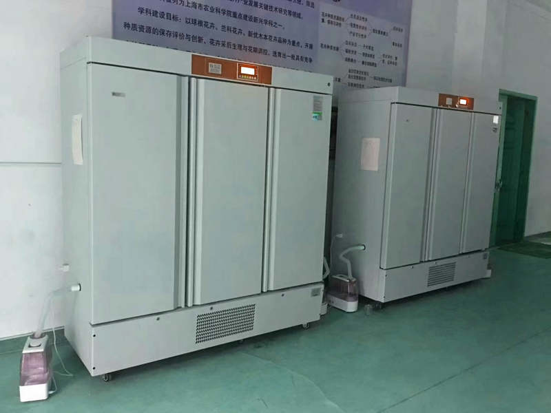 1559789515509274.jpg psb