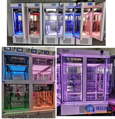 多色光01 多色光01